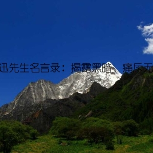 鲁迅先生名言录：揭露黑暗、痛斥无耻