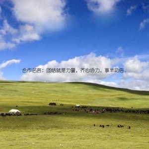 合作名言：团结就是力量，齐心协力，事半功倍。