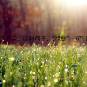 鲁迅书中的经典句子，让我们一起品味