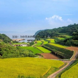 加油！为你而来的每个挑战都是一道锻炼的题目