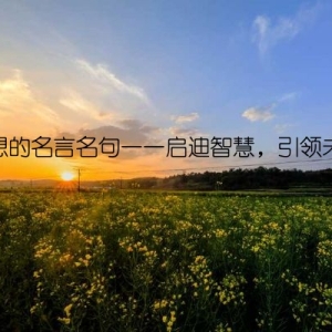 理想的名言名句——启迪智慧，引领未来