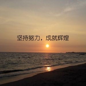 坚持努力，成就辉煌