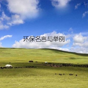 环保名言与举例