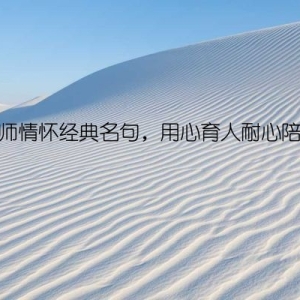教师情怀经典名句，用心育人耐心陪伴