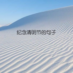纪念清明节的句子