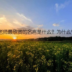 老师最欣赏的名言是什么？为什么？