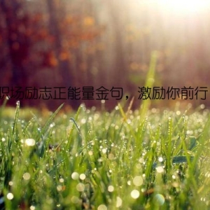 职场励志正能量金句，激励你前行！