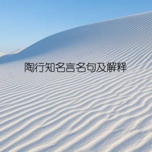 陶行知名言名句及解释