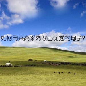 如何用兴高采烈做出优秀的句子？