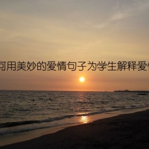 如何用美妙的爱情句子为学生解释爱情？