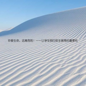 珍爱生命，远离危险！——让学生明白安全教育的重要性