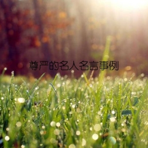 尊严的名人名言事例