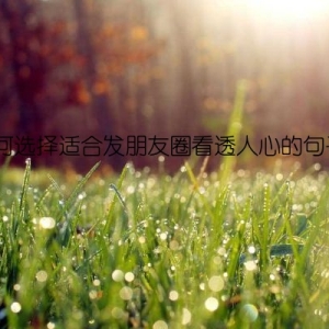 如何选择适合发朋友圈看透人心的句子？