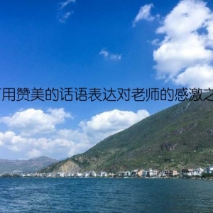 如何用赞美的话语表达对老师的感激之情？