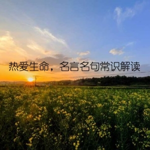 热爱生命，名言名句常识解读
