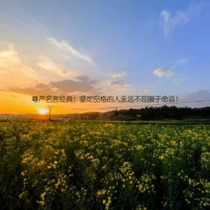 尊严名言经典：坚定品格的人永远不屈服于命运！