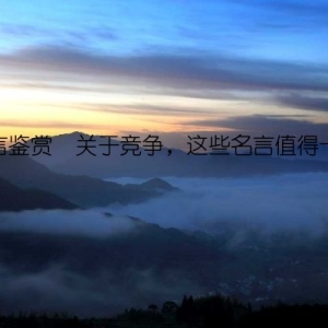 名言鉴赏  关于竞争，这些名言值得一看