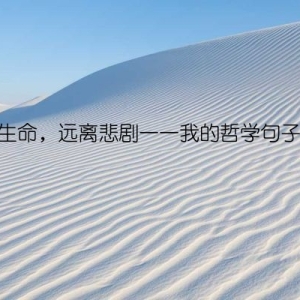 热爱生命，远离悲剧——我的哲学句子之旅