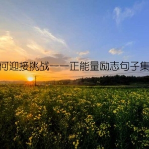 如何迎接挑战——正能量励志句子集锦