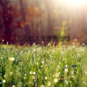 扎心的人生感悟金句