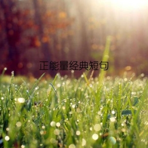 正能量经典短句