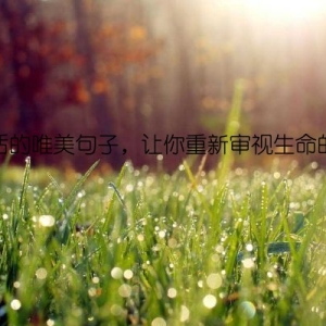 致生活的唯美句子，让你重新审视生命的珍贵