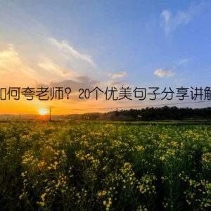 如何夸老师？20个优美句子分享讲解