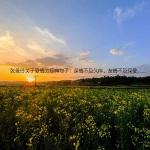 张爱玲关于爱情的经典句子：深情不及久伴，友情不及深爱。