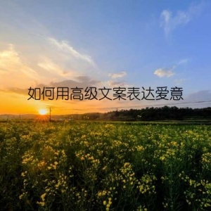 如何用高级文案表达爱意