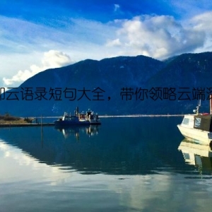 网抑云语录短句大全，带你领略云端深情