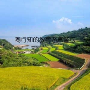 陶行知的教育名言警句