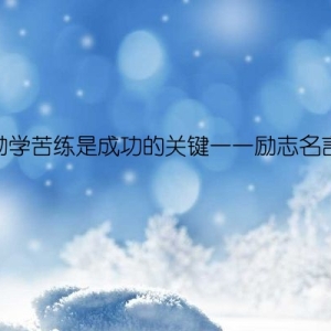 勤学苦练是成功的关键——励志名言
