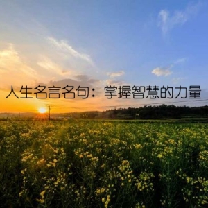 人生名言名句：掌握智慧的力量