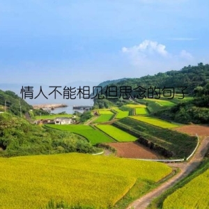 情人不能相见但思念的句子