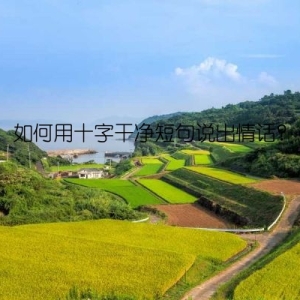 如何用十字干净短句说出情话？