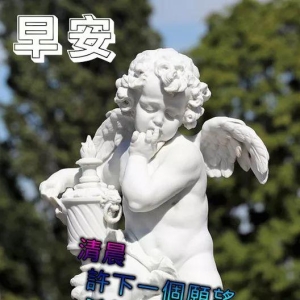 周五暖心早上好问候语简短说说 早上好，平安顺心、健康如意