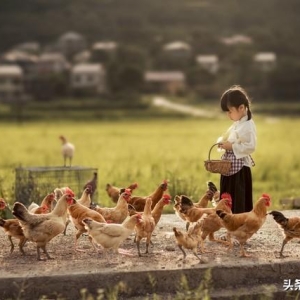 与岁月共舞，感受美丽人生