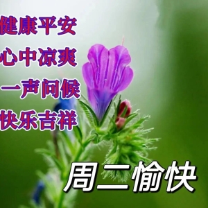 早晨安好：简单问候天天到，日日温情暖心间，早安！