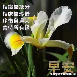 早安朋友是缘 要永远珍惜 朋友是金 永远光辉灿烂 祝朋友天天快乐幸福