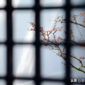 诗词丨用20首绝美诗词，读完一生