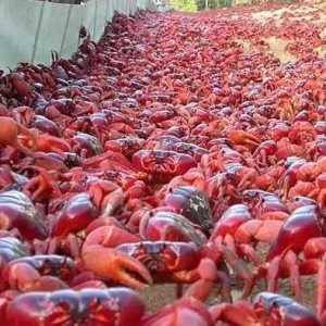 奇闻异事：地球上出现的7个十分独特和有意思的事
