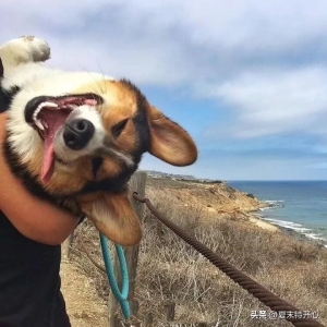 把你笑哭的搞笑小笑话