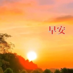 今日早安心语：夏天愉快，最美的早晨祝福送给您！
