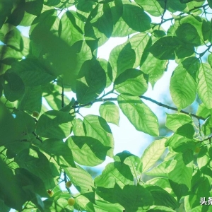 7月适合发朋友圈的文案