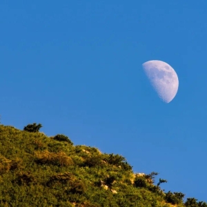 《唐诗三百首》中最美的10首诗，诗情画意，人间绝美
