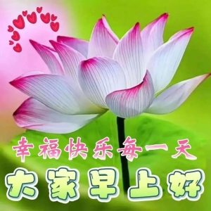 最新早安吉祥祝福语