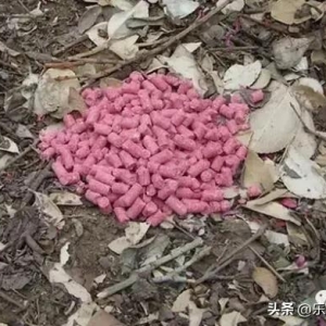 那些小时候做过的糗事，可没少挨揍，不堪回首