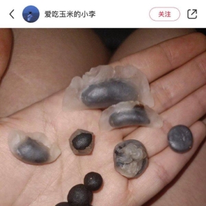 NO.127 今日笑话 现在小孩仪式感挺强啊