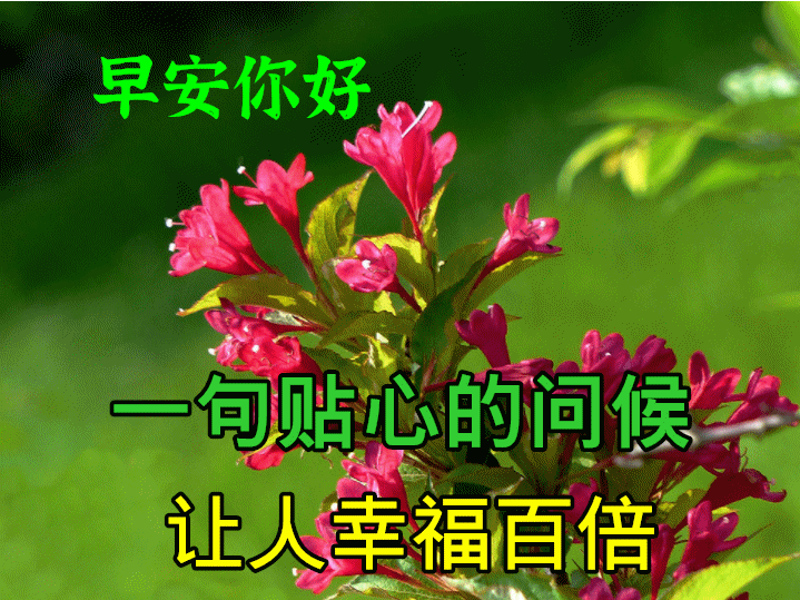 亲爱的朋友早安，祝愿你一生幸福，健康平安！