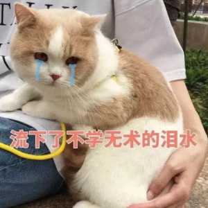 曝光那些让人哭笑不得的校园糗事，真实笑skr人了
